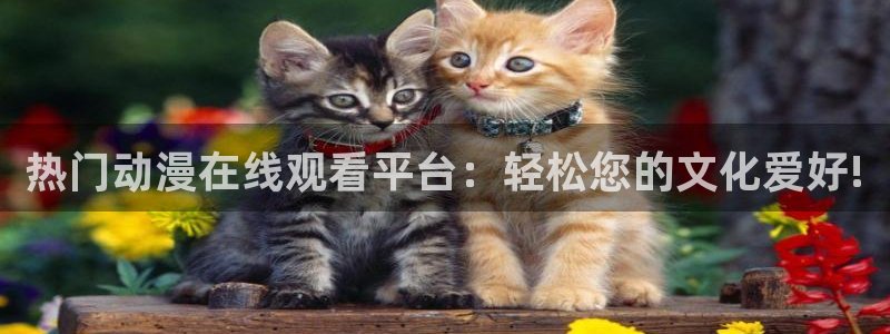 2020里番动漫