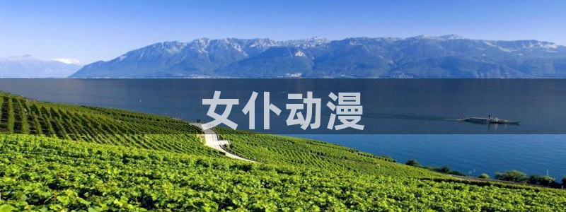 里番动漫高清在线观看