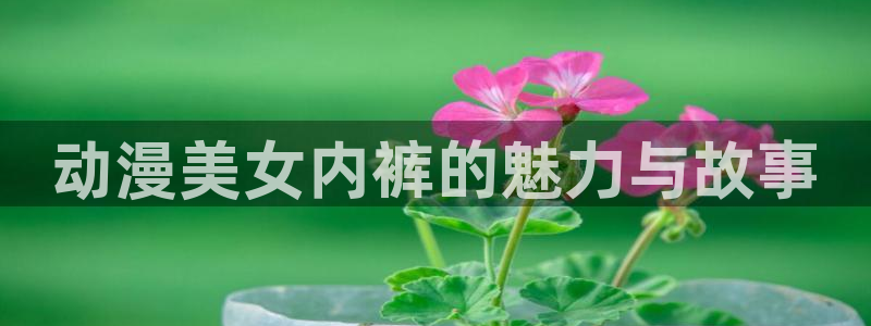 里番动漫排行