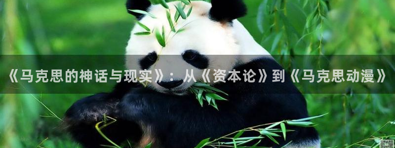 里番少女漫画无翼鸟：《马克思的神话与现实》：从《资本论》到《马克思动漫》