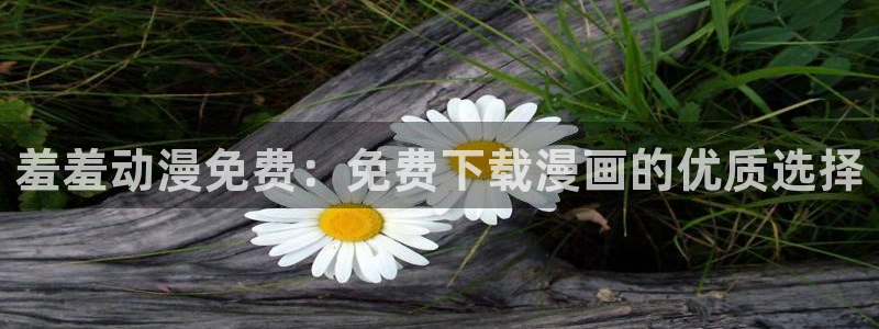 动漫里番在哪里看：羞羞动漫免费：免费下载漫画的优质选择