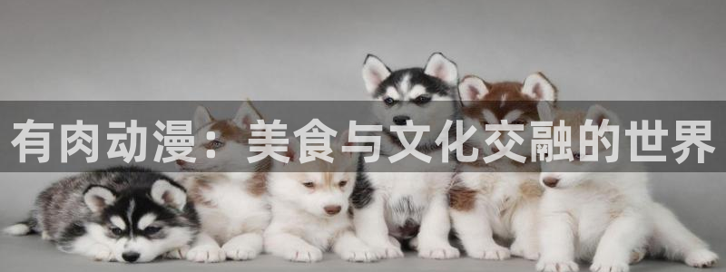 优质里番：有肉动漫：美食与文化交融的世界