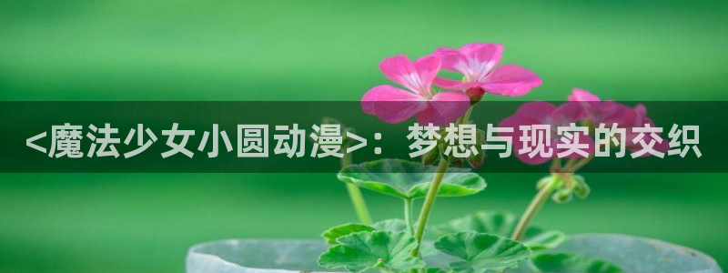 百合动漫里番：<魔法少女小圆动漫>：梦想与现实的交织
