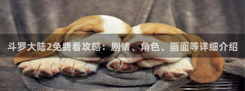 里番动漫在线观看免费：斗罗大陆2免费看攻略：剧情、角色、画面等详细介绍