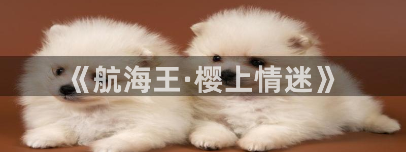 魅魔里番动漫：《航海王·樱上情迷》