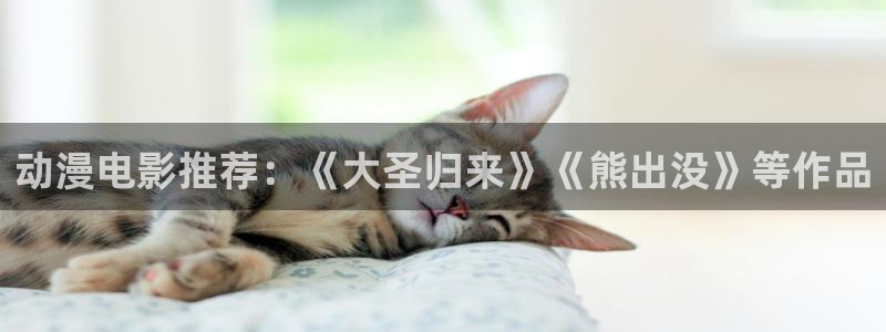 3d里番动漫在线网站：动漫电影推荐：《大圣归来》《熊出没》等作品
