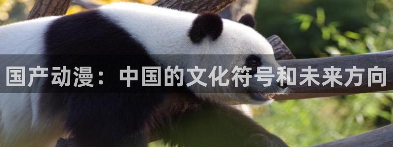免费里番：国产动漫：中国的文化符号和未来方向