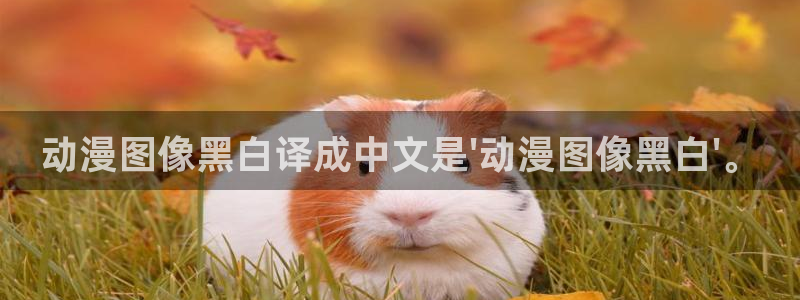 孕妇里番动漫：动漫图像黑白译成中文是\'动漫图像黑白\'。