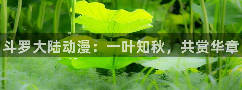 里番库全彩acg漫画：斗罗大陆动漫：一叶知秋，共赏华章