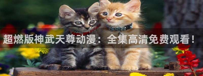 里番动漫在哪里可以看：超燃版神武天尊动漫：全集高清免费观看！